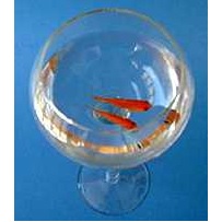 Champagne Goldfish Miracle by Dick Barry Champagne Goldfish Miracle by Dick Barry