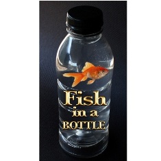 Fish In A Bottle by Dick Barry Fish In A Bottle by Dick Barry