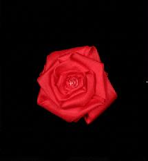 Silk to Rose
