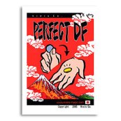Perfect DF