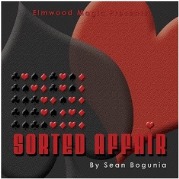 Sorted Affair by Sean Bogunia