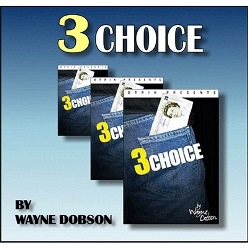 3 Choice by Wayne Dobson