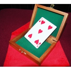 Teach A Card Trick by Wayne Dobson & Colin Rose