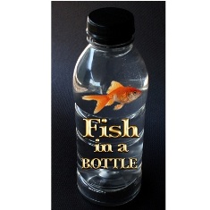 Fish In A Bottle by Dick Barry