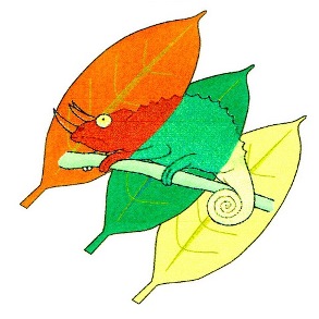 Leaf & Chameleon