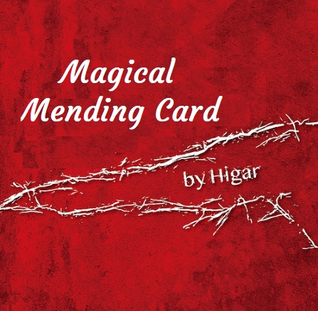 Magical Mending Card by Higar