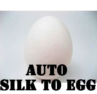 Auto Silk to Egg