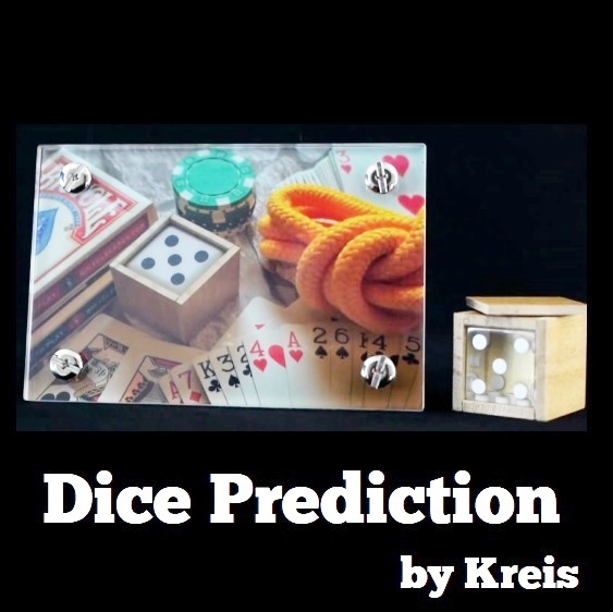 Dice Prediction by KREIS (Pre-order)