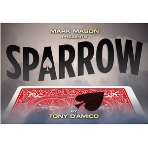 Sparrow By Tony D'Amico