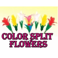 Color Split Flowers by Magic Shadow