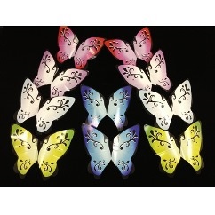 Million Butterflies (Butterfly)(Regular size) by Magic Shadow