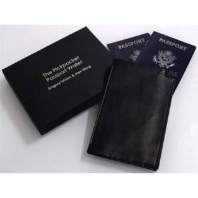 Pickpocket Passport by Alan Wong & Gregory Wilson