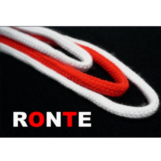 RONTE (Rope Monte)