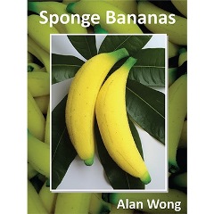 by Alan Wong 4pk. Sponge Eggs 