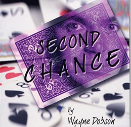 Second Chance by Wayne Dobson