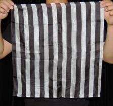 Stripe Flip (Black & White)