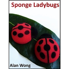 Sponge Ladybugs by Alan Wong