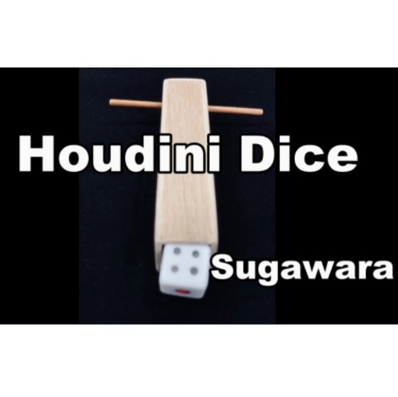 Houdini Dice by Sugawara