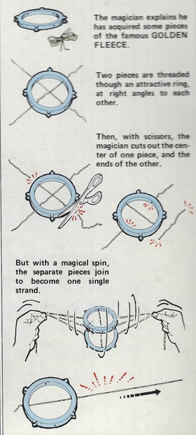 The Golden Fleece (T-121) by TENYO