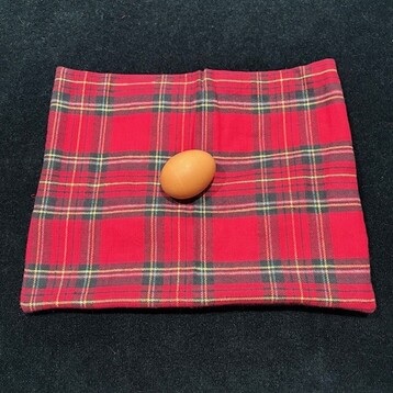 The Climax Egg Bag by Collectors Workshop