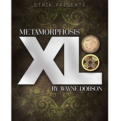 Metamorphosis XL by Wayne Dobson