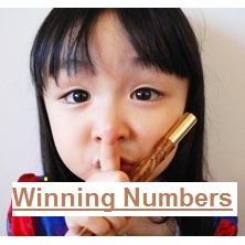 Winning numbers 07262013