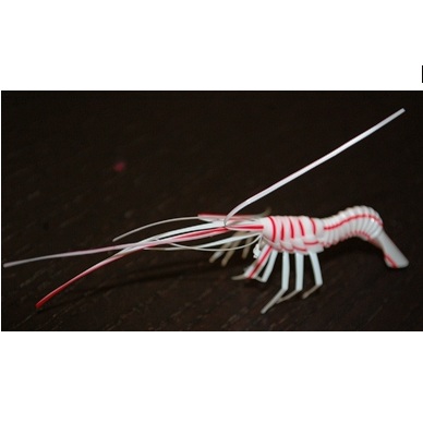 Shrimpy Straw by Yutaka Ishii