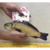 Appearing Fish (Small size, Fit into Card Case)