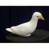 Life-Like Dove (Latex)