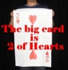 Big Card is "2 of Hearts" (Complete Set) by Ton Onosaka