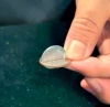 Coin through Coin (US Quarter) by Shouma