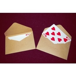 Perfect Sized Envelopes
